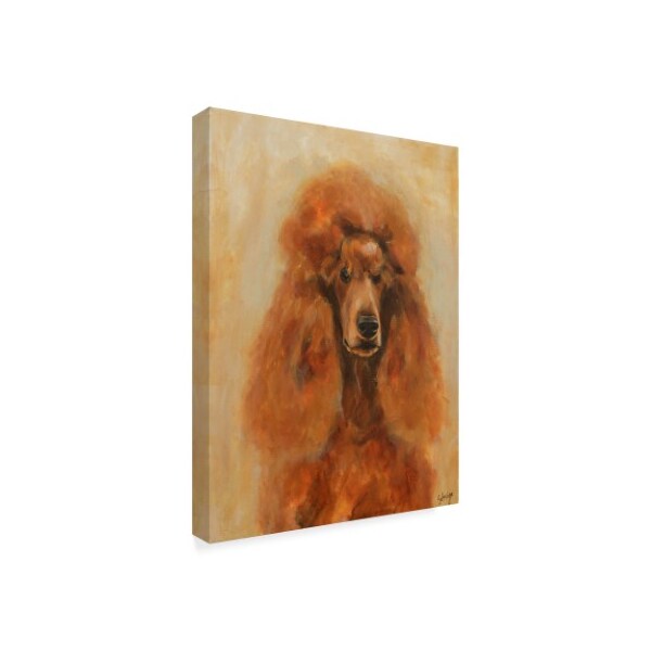 Solveiga 'Apricot Poodle' Canvas Art,14x19